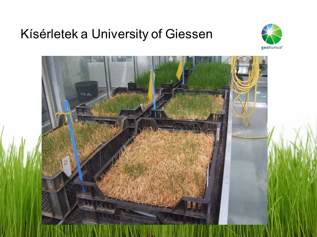 Kísérletek a University of Giessen