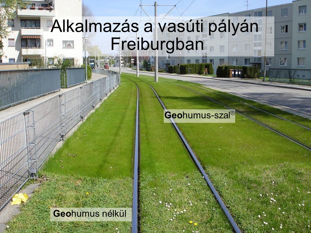 Alkalmazás a vasúti pályán Freiburgban Geohumus nélkül Geohumus-szal ®