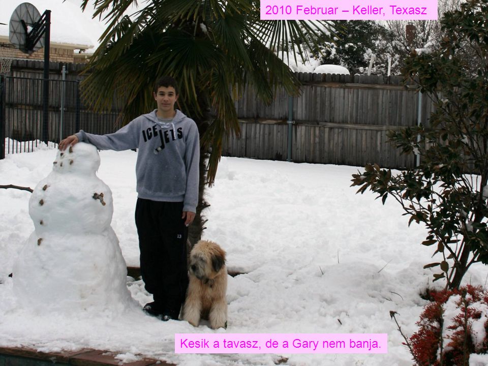 2010 Februar – Keller, Texasz Kesik a tavasz, de a Gary nem banja.