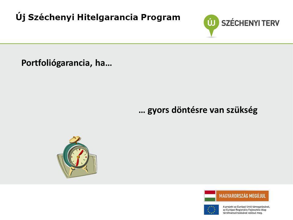 Új Széchenyi Hitelgarancia Program Portfoliógarancia, ha… … gyors döntésre van szükség
