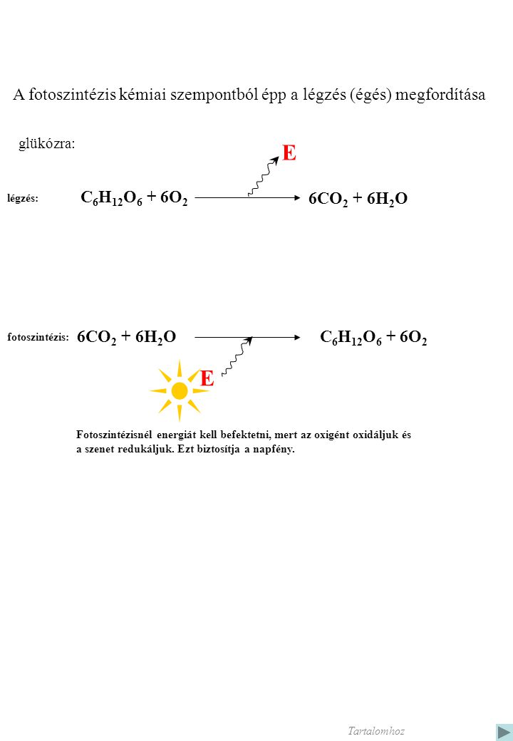 A fotoszintézis kémiai szempontból épp a légzés (égés) megfordítása C 6 H 12 O 6 + 6O 2 6CO 2 + 6H 2 O glükózra: E légzés: C 6 H 12 O 6 + 6O 2 6CO 2 + 6H 2 O fotoszintézis: E Fotoszintézisnél energiát kell befektetni, mert az oxigént oxidáljuk és a szenet redukáljuk.