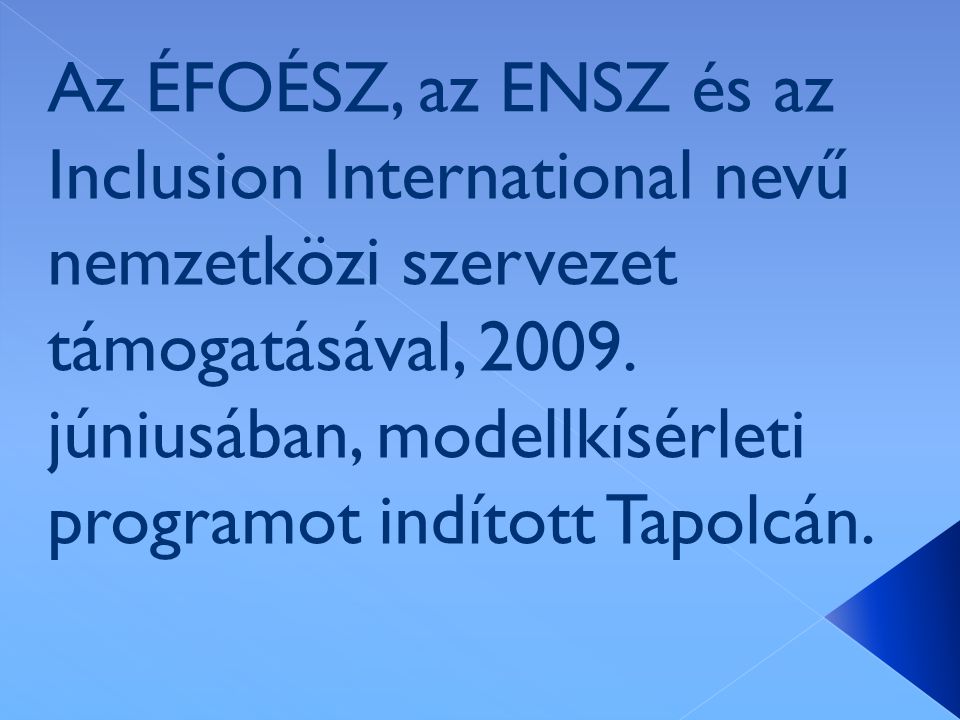 Az ÉFOÉSZ, az ENSZ és az Inclusion International nevű nemzetközi szervezet támogatásával, 2009.