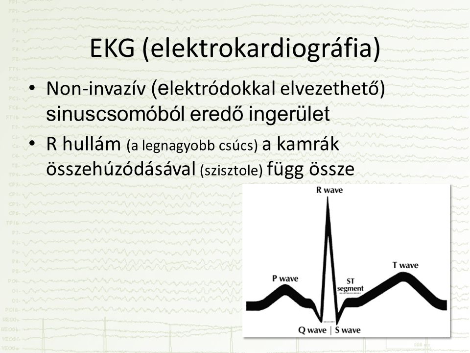 EKG (elektrokardiográfia) • Non-invazív (e lektródokkal elvezethető) sinuscsomóból eredő ingerület • R hullám (a legnagyobb csúcs) a kamrák összehúzódásával (szisztole) függ össze