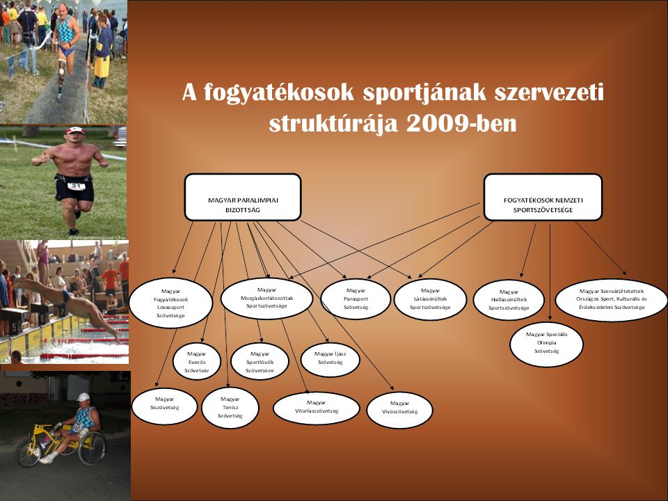 A fogyatékosok sportjának szervezeti struktúrája 2009-ben