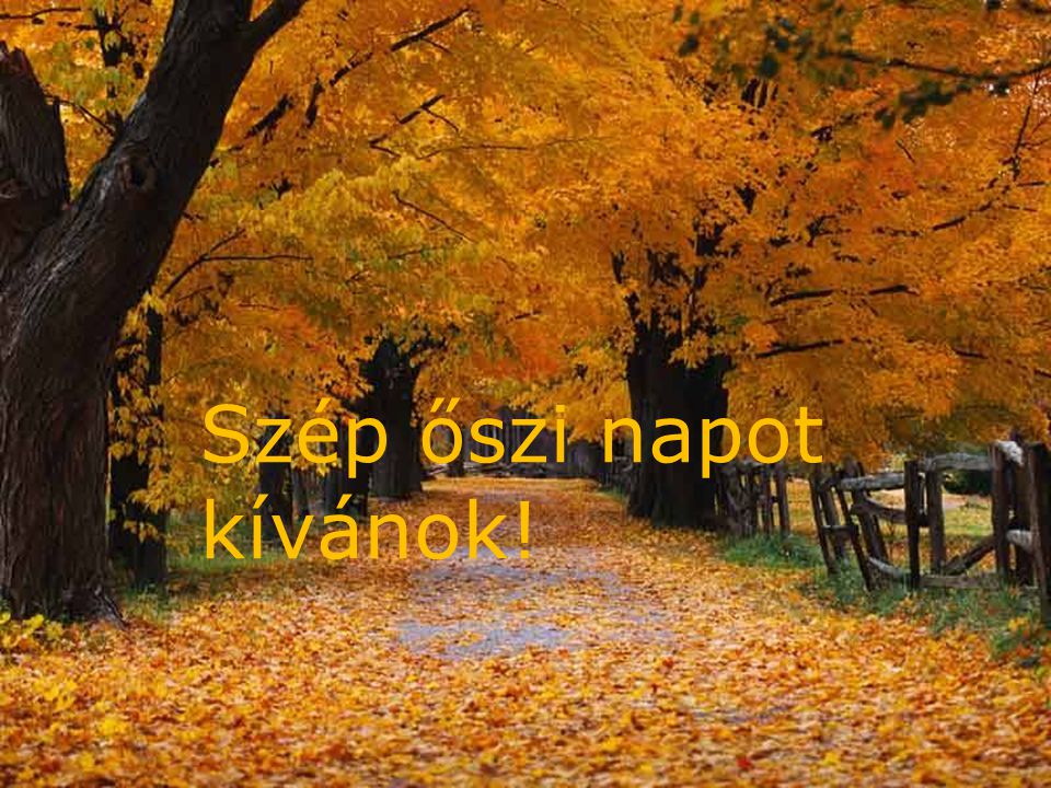 Szép őszi napot kívánok!