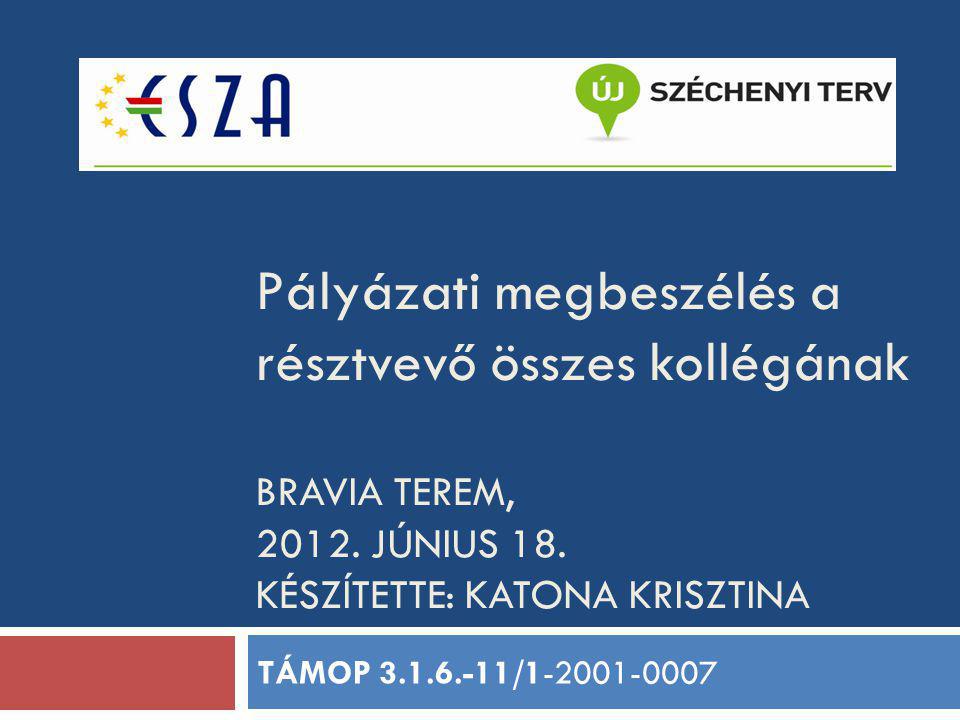 Pályázati megbeszélés a résztvevő összes kollégának BRAVIA TEREM, 2012.