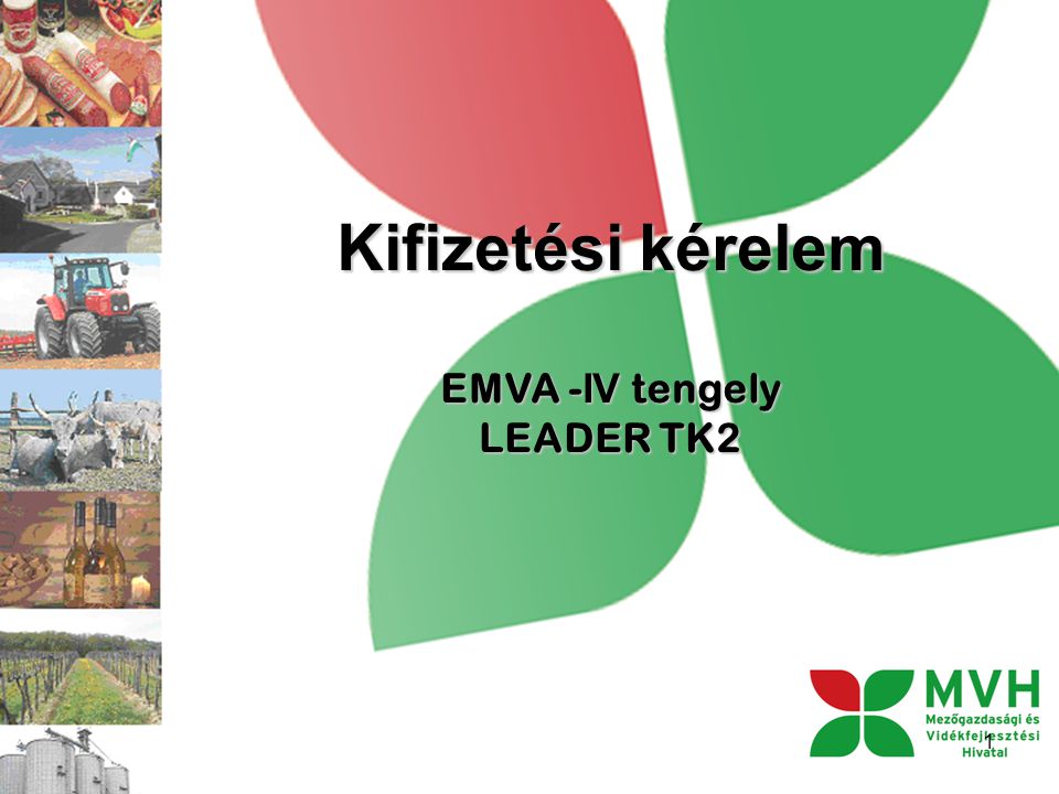 Kifizetési kérelem EMVA - IV tengely LEADER TK2 1