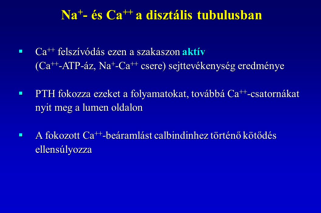  Ca ++ felszívódás ezen a szakaszon aktív (Ca ++ -ATP-áz, Na + -Ca ++ csere) sejttevékenység eredménye  PTH fokozza ezeket a folyamatokat, továbbá Ca ++ -csatornákat nyit meg a lumen oldalon  A fokozott Ca ++ -beáramlást calbindinhez történő kötődés ellensúlyozza Na + - és Ca ++ a disztális tubulusban