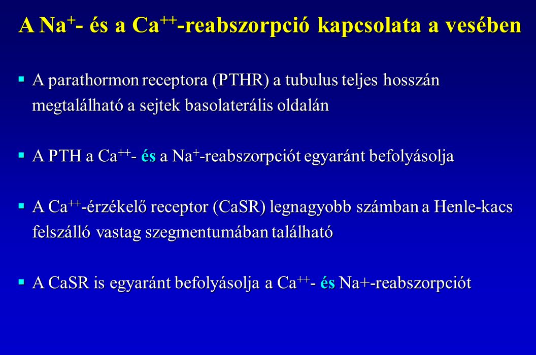  A parathormon receptora (PTHR) a tubulus teljes hosszán megtalálható a sejtek basolaterális oldalán  A PTH a Ca ++ - és a Na + -reabszorpciót egyaránt befolyásolja  A Ca ++ -érzékelő receptor (CaSR) legnagyobb számban a Henle-kacs felszálló vastag szegmentumában található  A CaSR is egyaránt befolyásolja a Ca ++ - és Na+-reabszorpciót A Na + - és a Ca ++ -reabszorpció kapcsolata a vesében