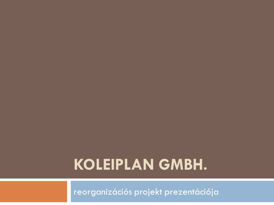 KOLEIPLAN GMBH. reorganizációs projekt prezentációja