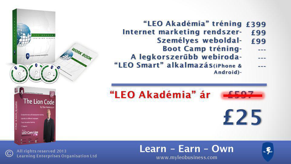 Learn – Earn – Own   All rights reserved 2013 Learning Enterprises Organisation Ltd