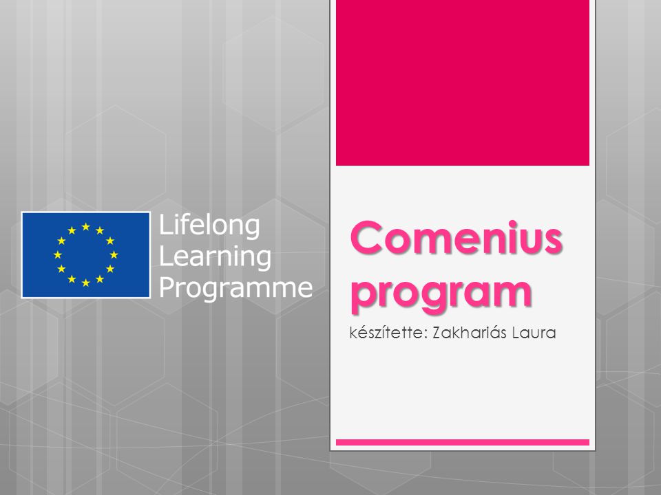 Comenius program készítette: Zakhariás Laura