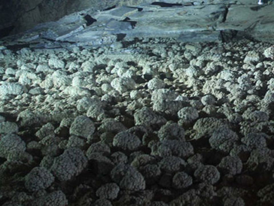 A National Geographic 2010-ben egy csoportot küldött oda, a barlang dokumentálása végett.