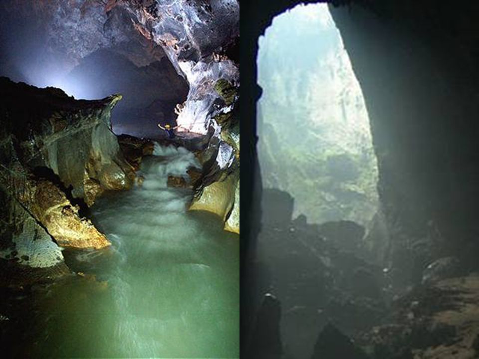 A barlangon belül látható mini öserdö egy csekély kis része,valamint a fény és a méretek csodás öszzhangja láthato ezen a képen.