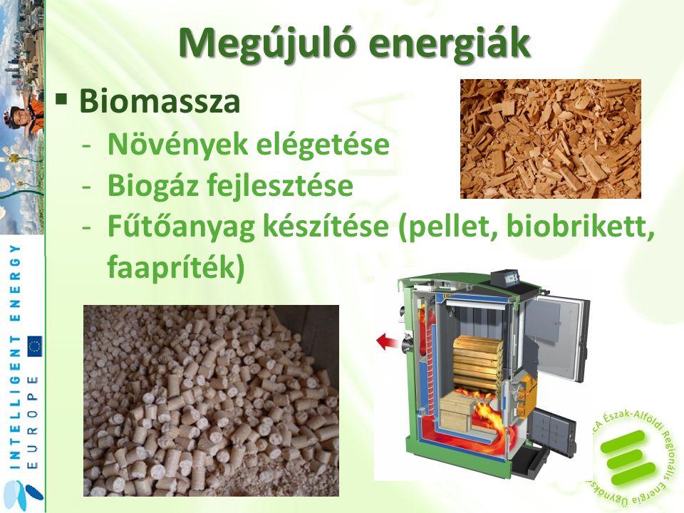 Megújuló energiák  Biomassza -Növények elégetése -Biogáz fejlesztése -Fűtőanyag készítése (pellet, biobrikett, faapríték)