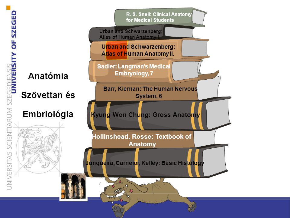 Anatómia Szövettan és Embriológia th ed. th ed. R.