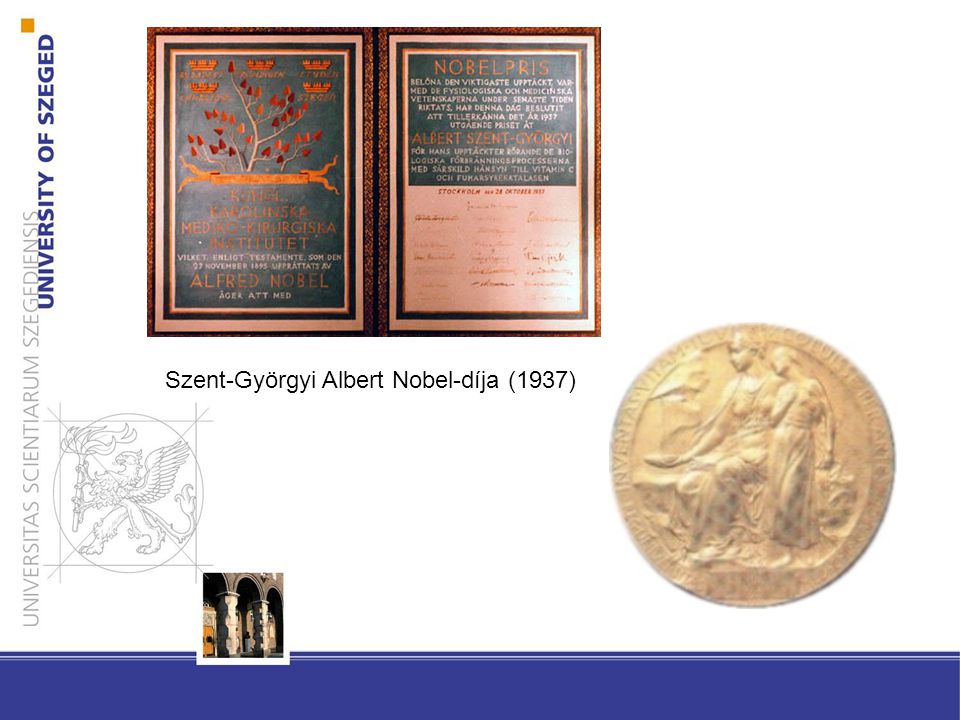 Szent-Györgyi Albert Nobel-díja (1937)