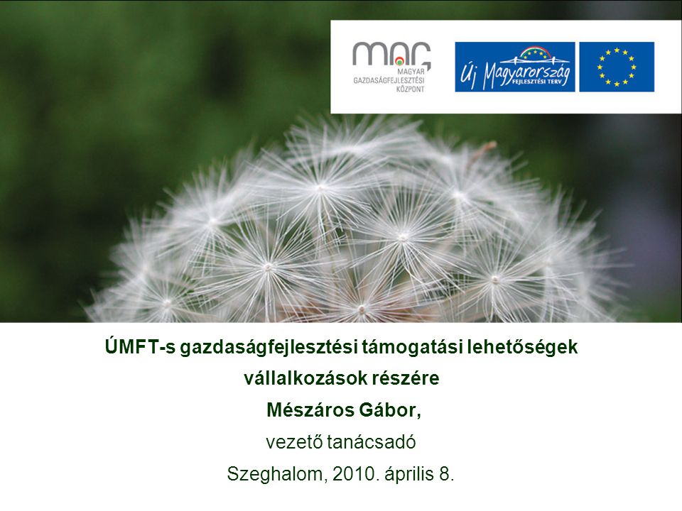 ÚMFT-s gazdaságfejlesztési támogatási lehetőségek vállalkozások részére Mészáros Gábor, vezető tanácsadó Szeghalom, 2010.