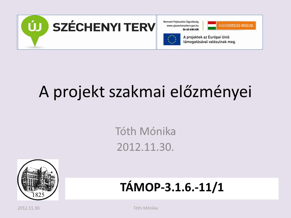 A projekt szakmai előzményei Tóth Mónika TÁMOP / Tóth Mónika