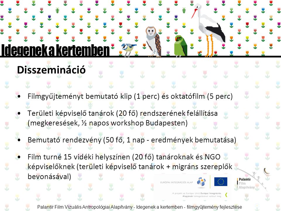 Disszemináció •Filmgyűjteményt bemutató klip (1 perc) és oktatófilm (5 perc) •Területi képviselő tanárok (20 fő) rendszerének felállítása (megkeresések, ½ napos workshop Budapesten) •Bemutató rendezvény (50 fő, 1 nap - eredmények bemutatása) •Film turné 15 vidéki helyszínen (20 fő) tanároknak és NGO képviselőknek (területi képviselő tanárok + migráns szereplők bevonásával) Palantír Film Vizuális Antropológiai Alapítvány - Idegenek a kertemben - filmgyűjtemény fejlesztése