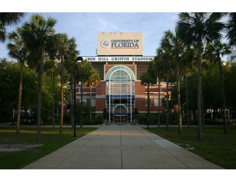 University of florida