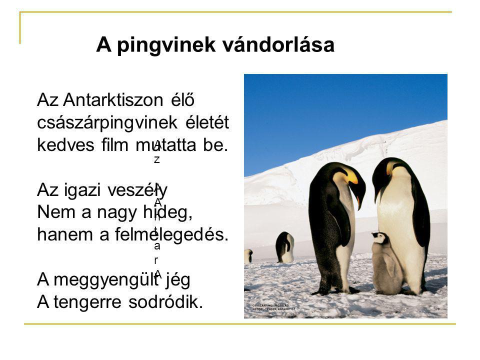 A pingvinek vándorlása Az AAntarAAz AAntarA Az Antarktiszon élő császárpingvinek életét kedves film mutatta be.