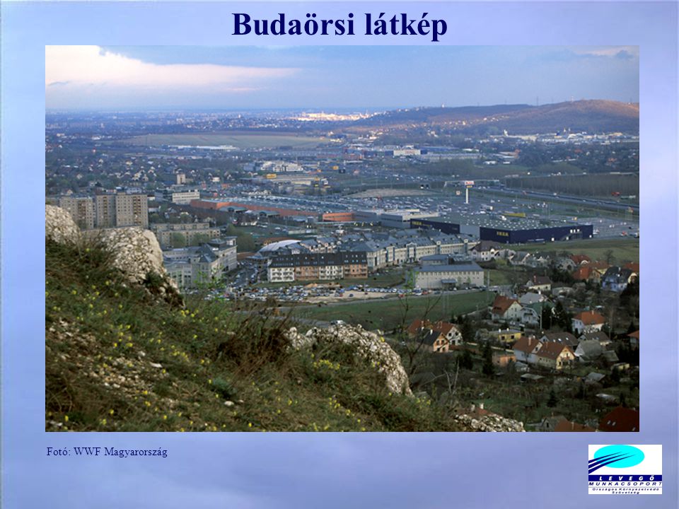 Budaörsi látkép Fotó: WWF Magyarország