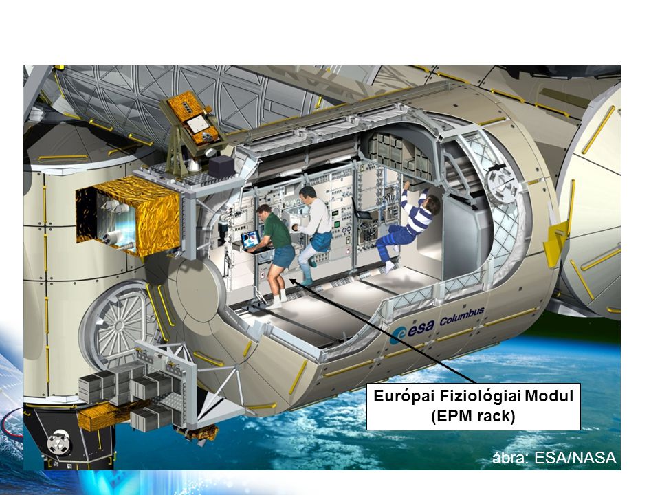 ábra: ESA/NASA Európai Fiziológiai Modul (EPM rack)