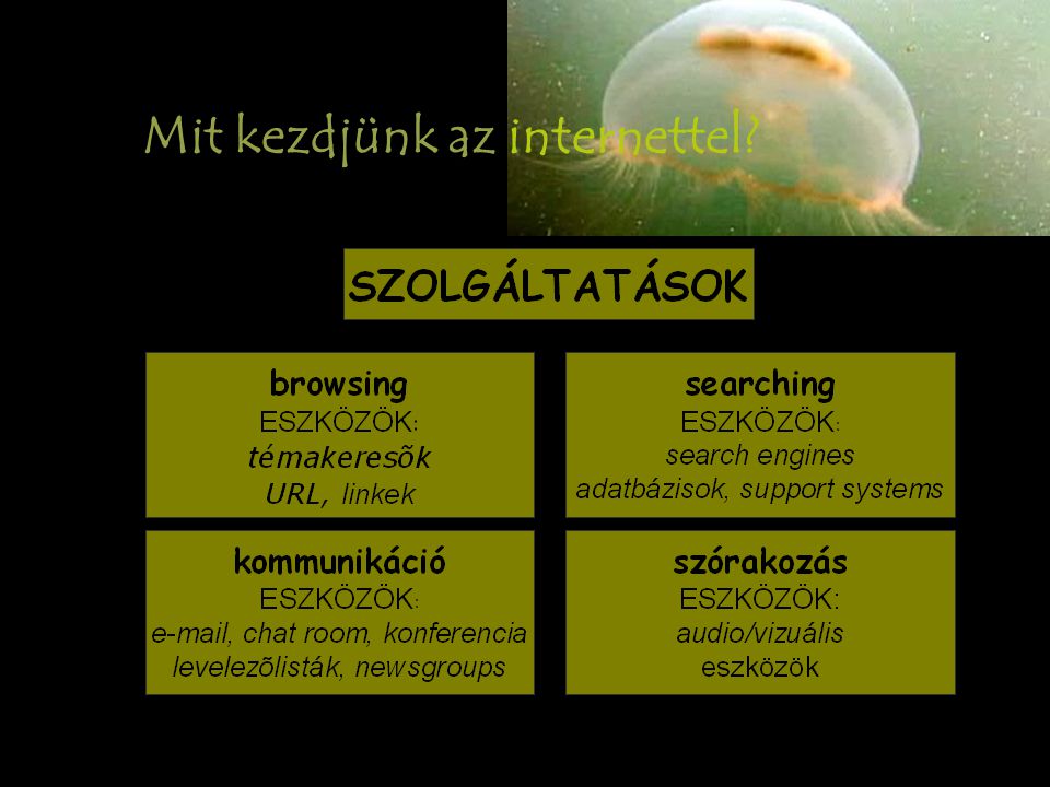 Internetes források nem csak ZOOLÓGIA   zoo/zoo03.ppt