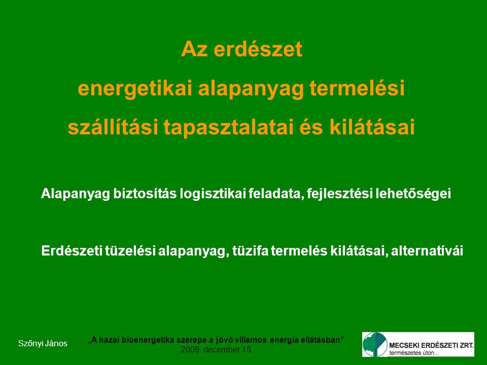 Szőnyi János „A hazai bioenergetika szerepe a jövő villamos energia ellátásban 2009.