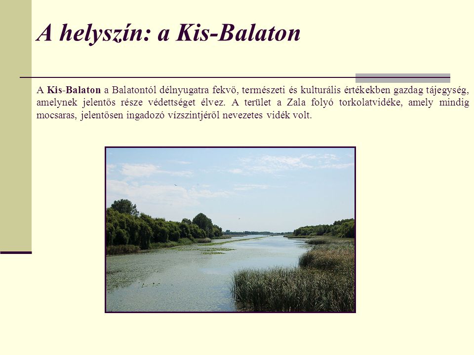 A Kis-Balaton a Balatontól délnyugatra fekvő, természeti és kulturális értékekben gazdag tájegység, amelynek jelentős része védettséget élvez.