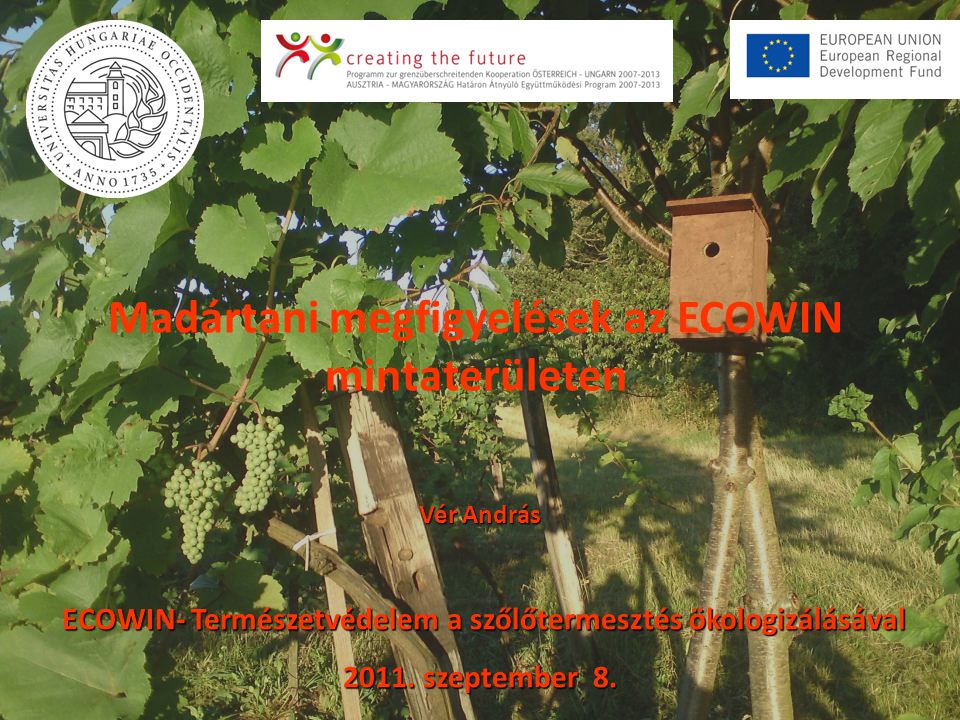 Vér András ECOWIN- Természetvédelem a szőlőtermesztés ökologizálásával ECOWIN- Természetvédelem a szőlőtermesztés ökologizálásával 2011.