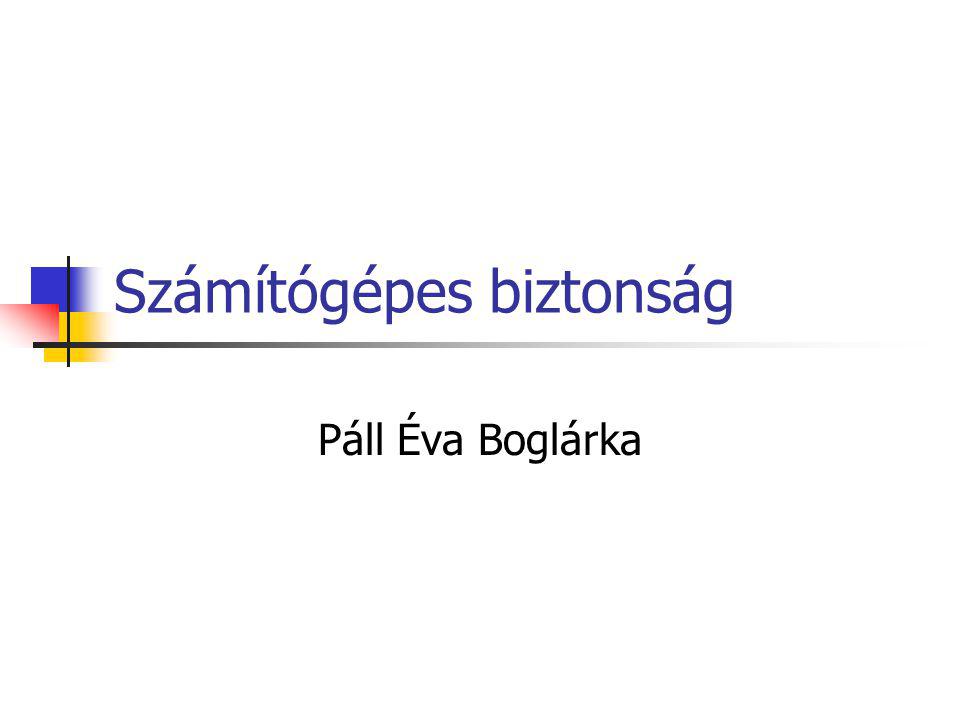 Számítógépes biztonság Páll Éva Boglárka