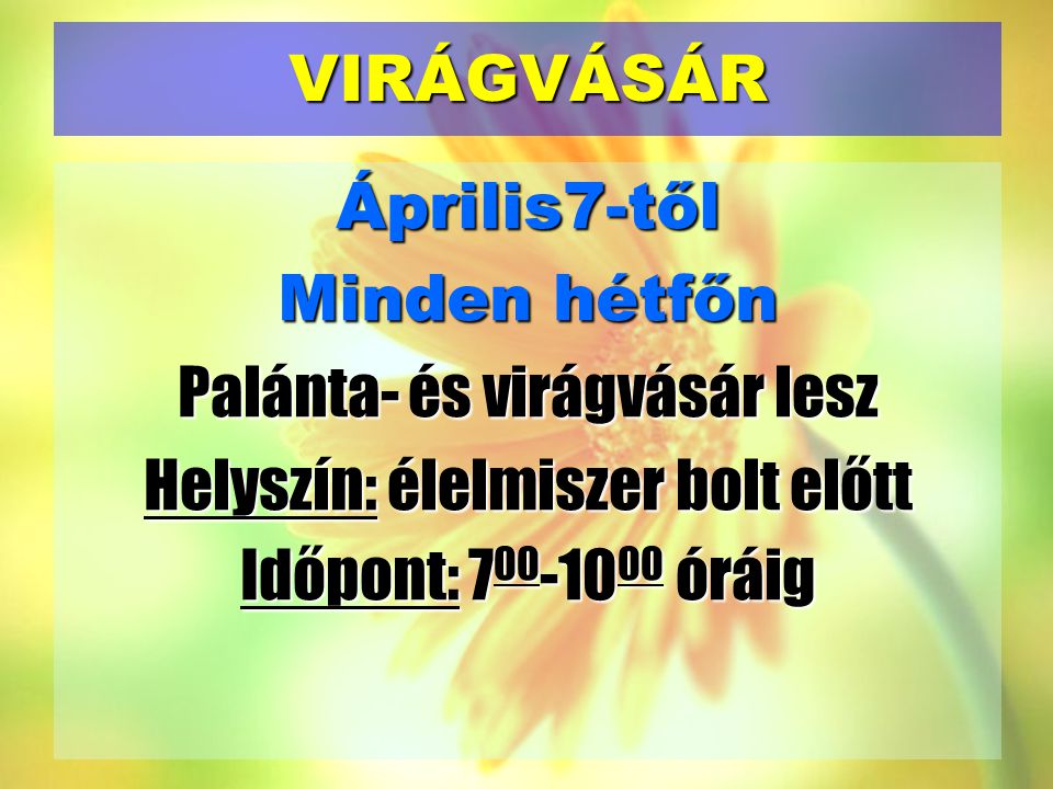 VIRÁGVÁSÁR Április7-től Minden hétfőn Palánta- és virágvásár lesz Helyszín: élelmiszer bolt előtt Időpont: óráig