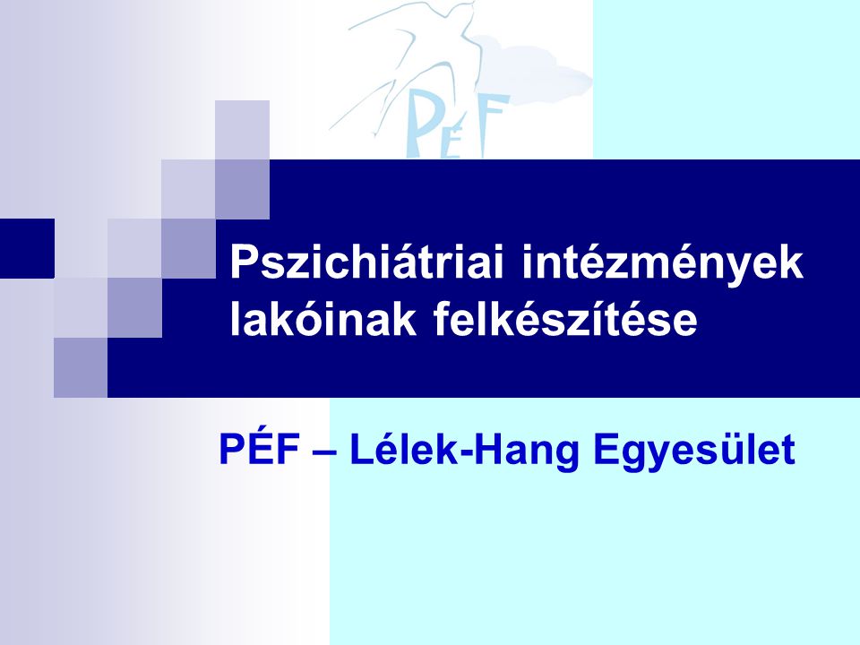 Pszichiátriai intézmények lakóinak felkészítése PÉF – Lélek-Hang Egyesület