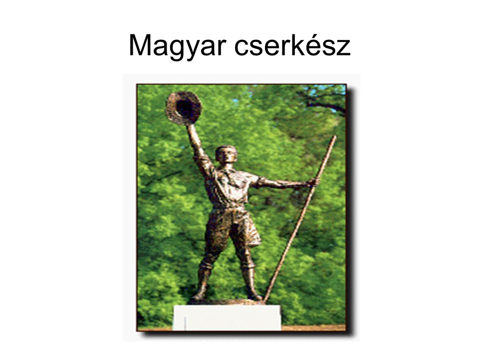 Magyar cserkész