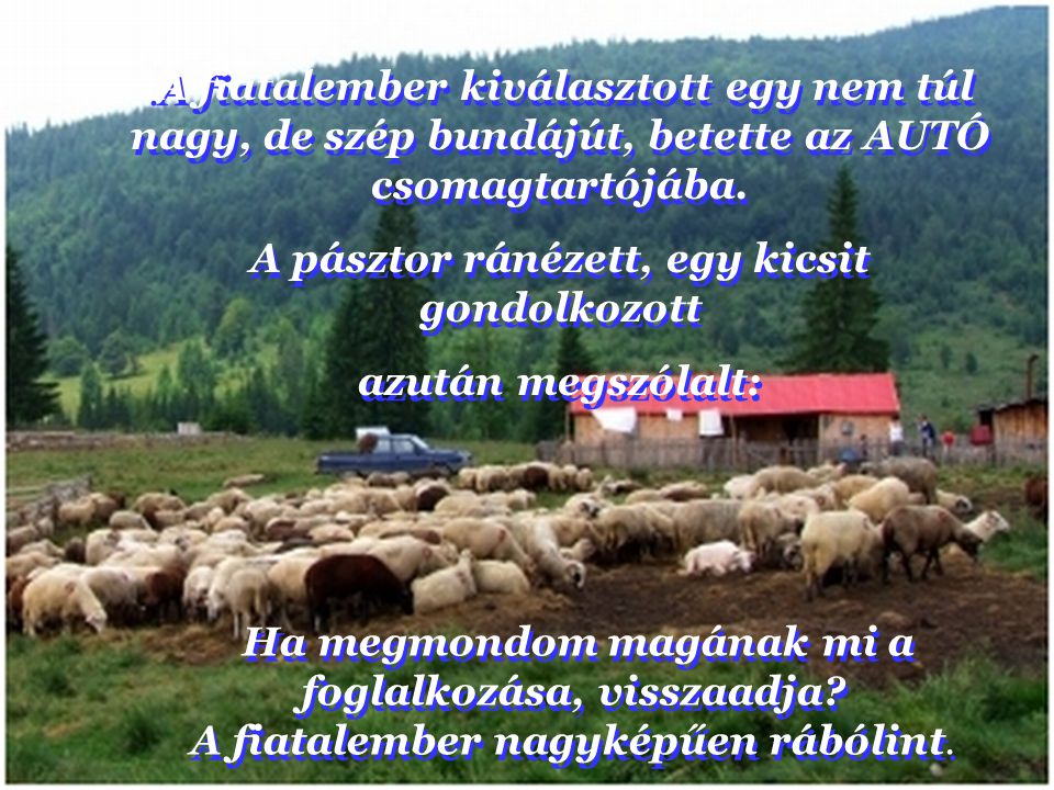 Aztán odafordult a pásztorhoz és azt mondta: Pontosan 87 juha van itt a környéken.