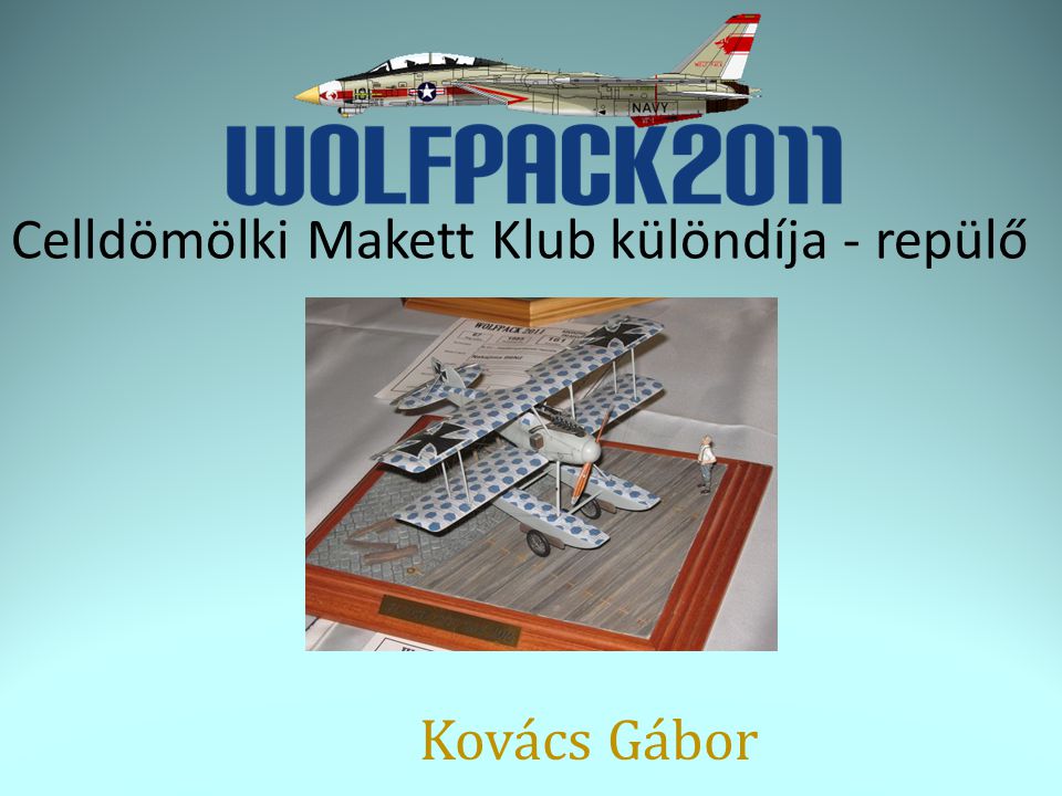 Celldömölki Makett Klub különdíja - repülő Kovács Gábor