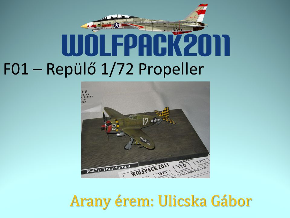 F01 – Repülő 1/72 Propeller Arany érem: Ulicska Gábor