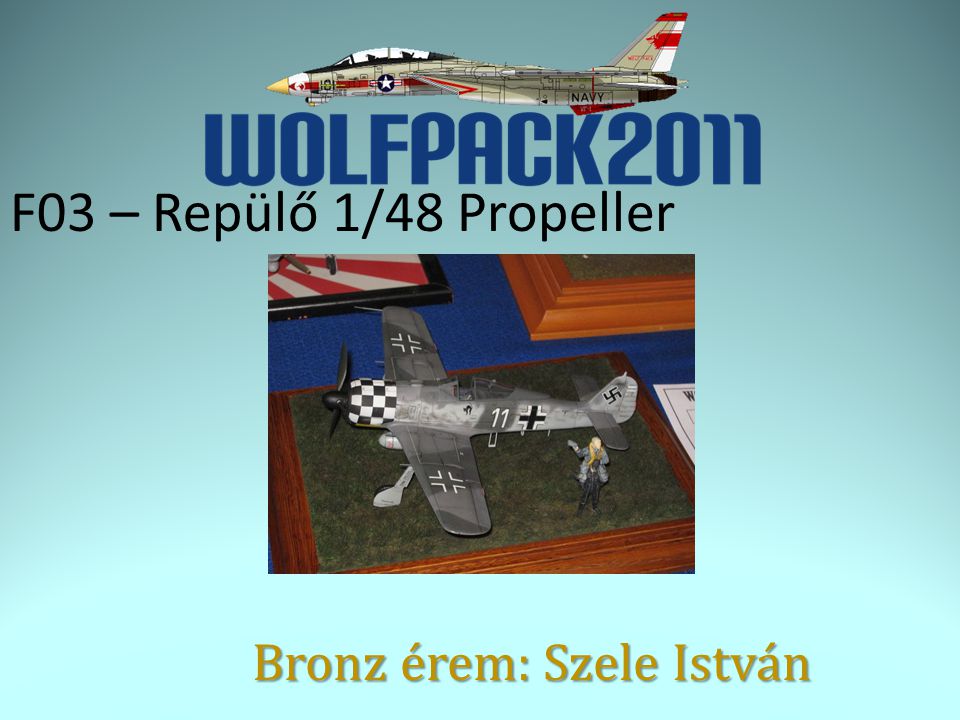 F03 – Repülő 1/48 Propeller Bronz érem: Szele István