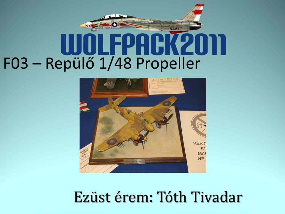F03 – Repülő 1/48 Propeller Ezüst érem: Tóth Tivadar