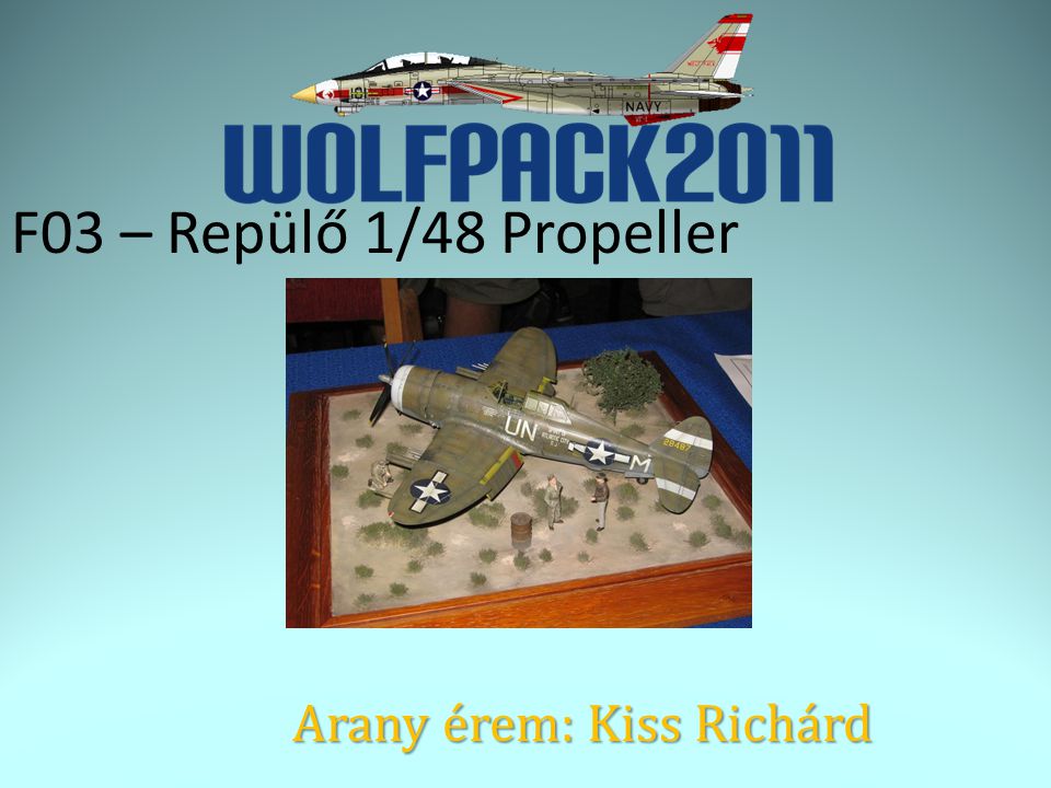 F03 – Repülő 1/48 Propeller Arany érem: Kiss Richárd