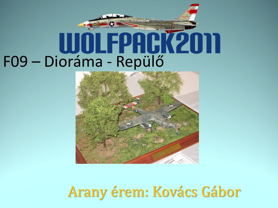 F09 – Dioráma - Repülő Arany érem: Kovács Gábor