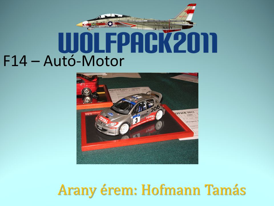 F14 – Autó-Motor Arany érem: Hofmann Tamás
