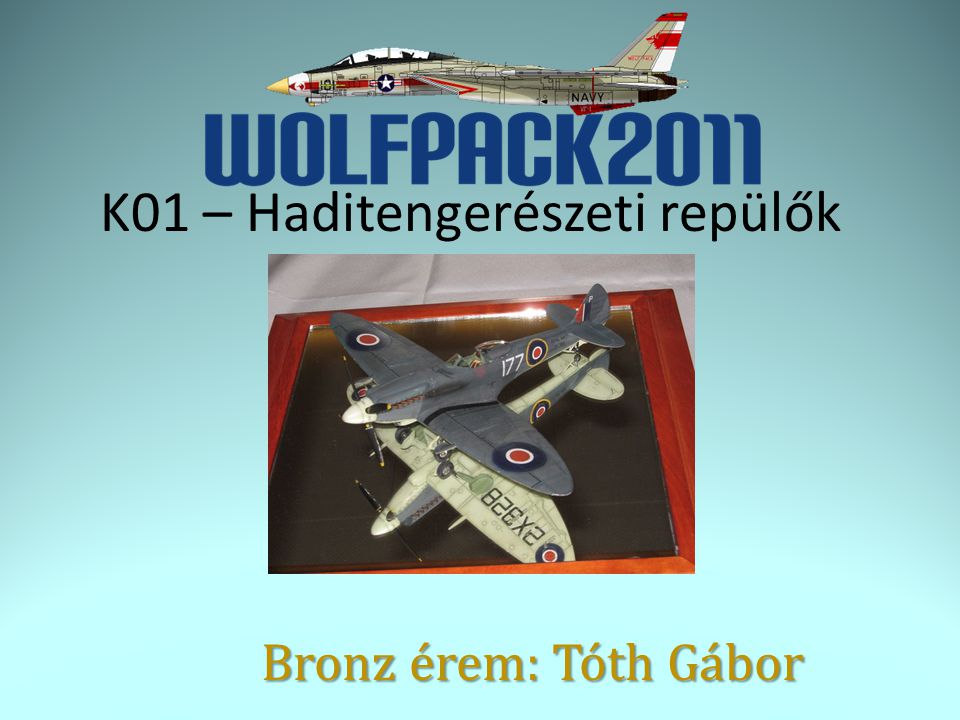 K01 – Haditengerészeti repülők Bronz érem: Tóth Gábor