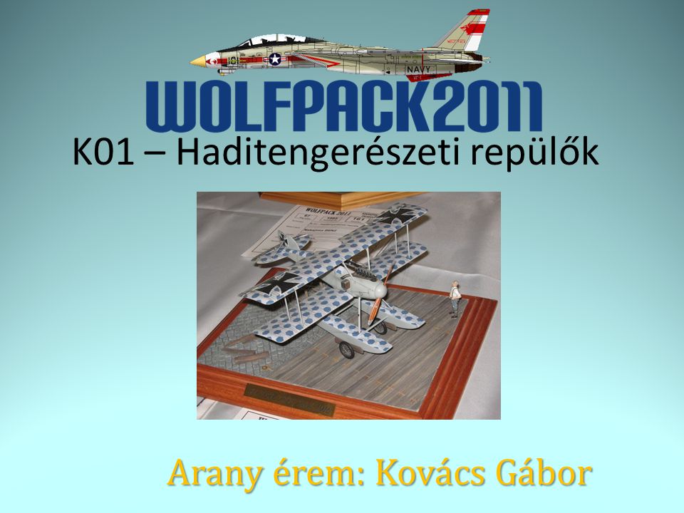 Arany érem: Kovács Gábor K01 – Haditengerészeti repülők