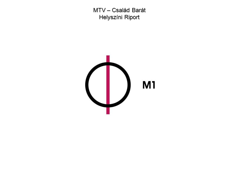 MTV – Család Barát Helyszíni Riport