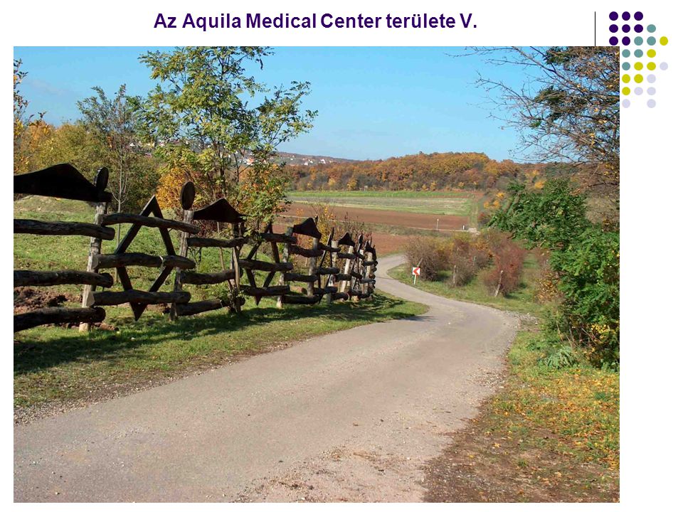 Az Aquila Medical Center területe V.
