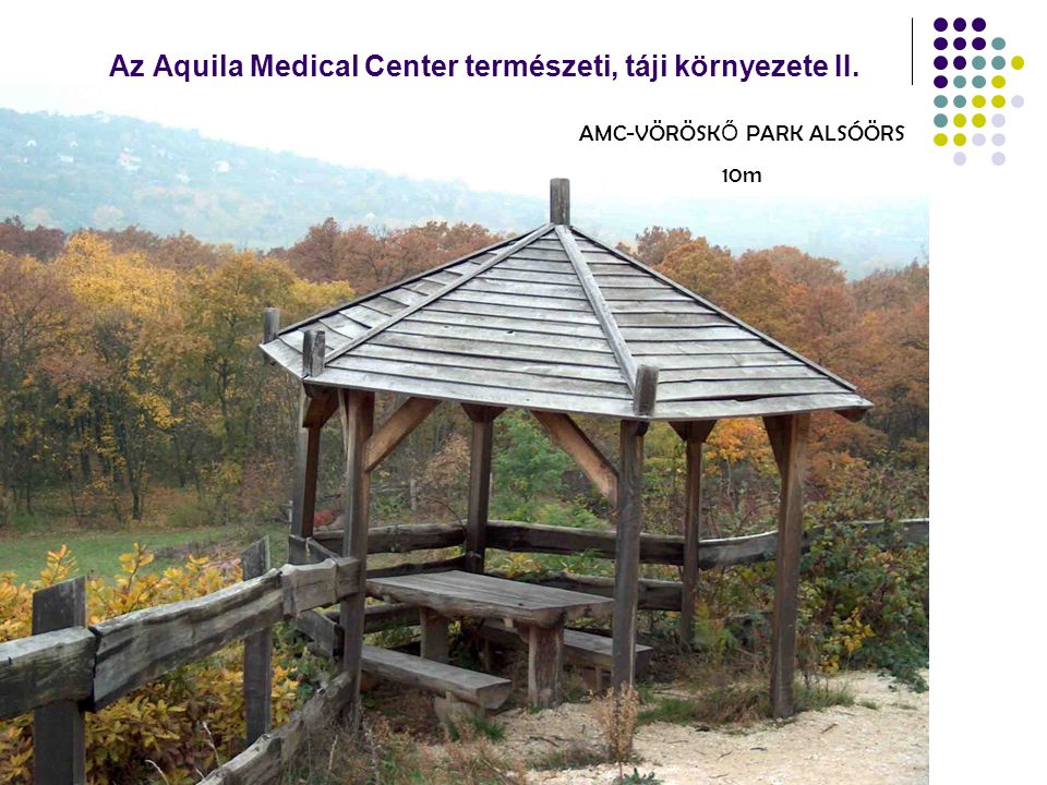 Az Aquila Medical Center természeti, táji környezete II. AMC-VÖRÖSK Ő PARK ALSÓÖRS 10m