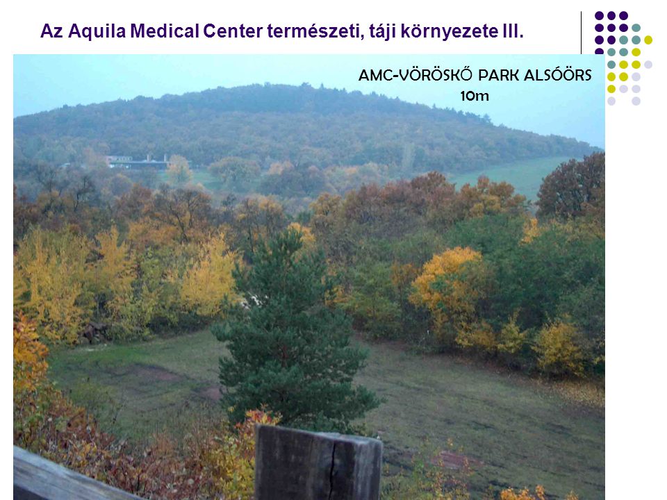 Az Aquila Medical Center természeti, táji környezete III. AMC-VÖRÖSK Ő PARK ALSÓÖRS 10m